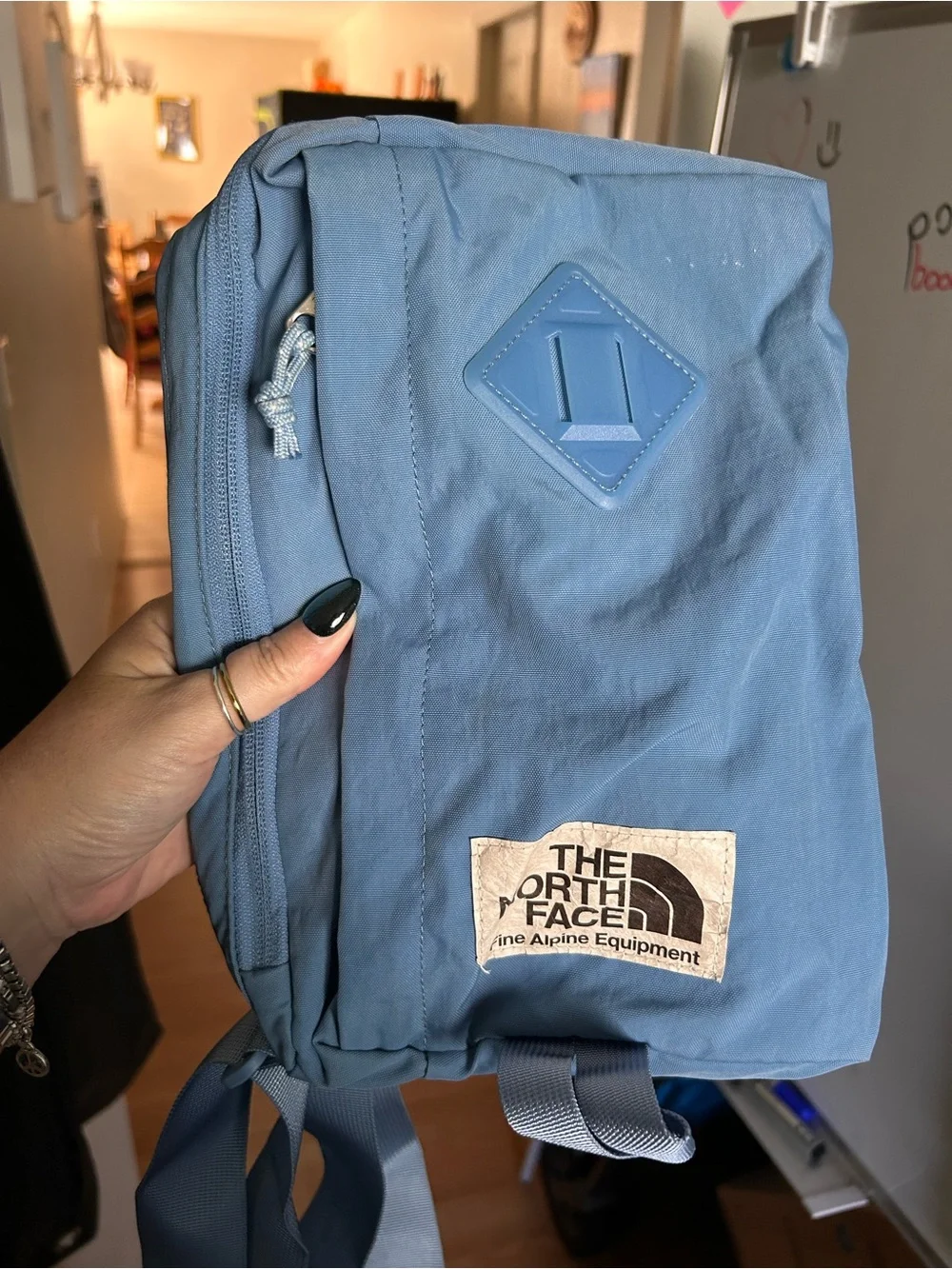 The North Face Light Blue Backpack Daypack for Men